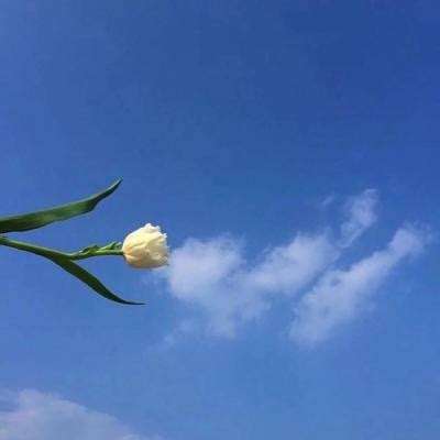 《新闻1+1》 20260528 零售药店骗医保，为何屡打不绝？